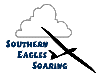 Southern Eagles Soaring Logo